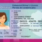 Ontario drivers licence 85x85