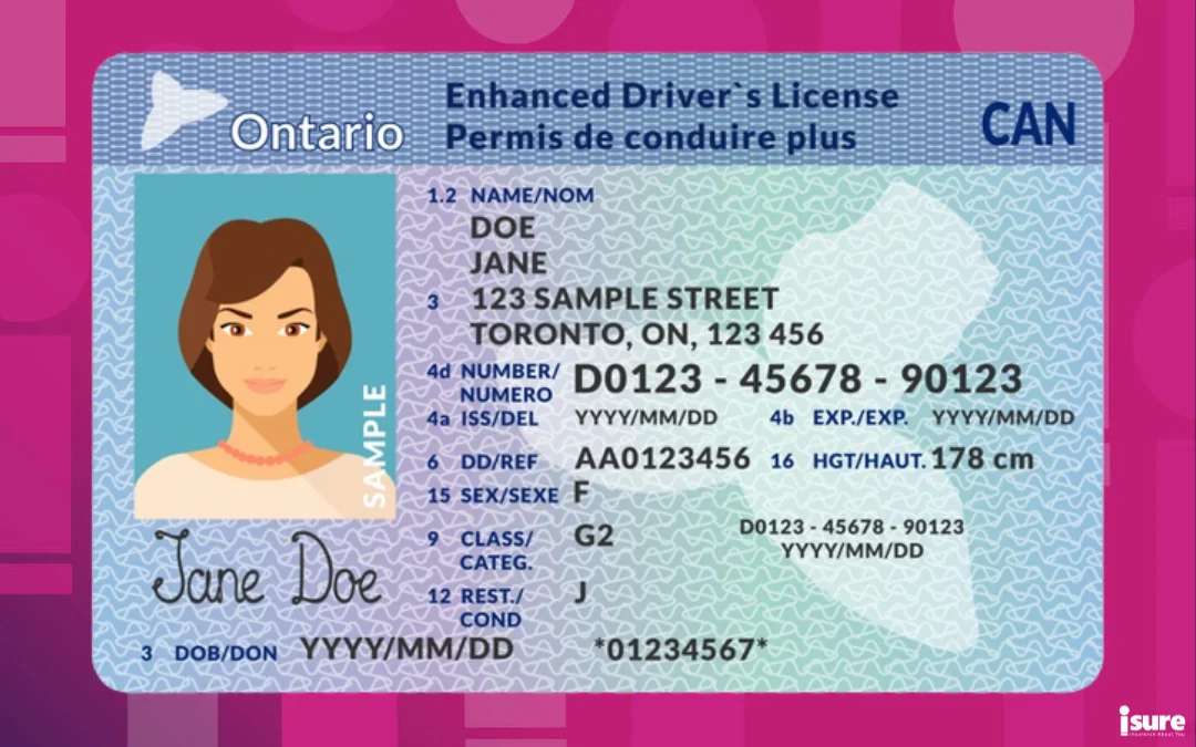 Ontario driver's